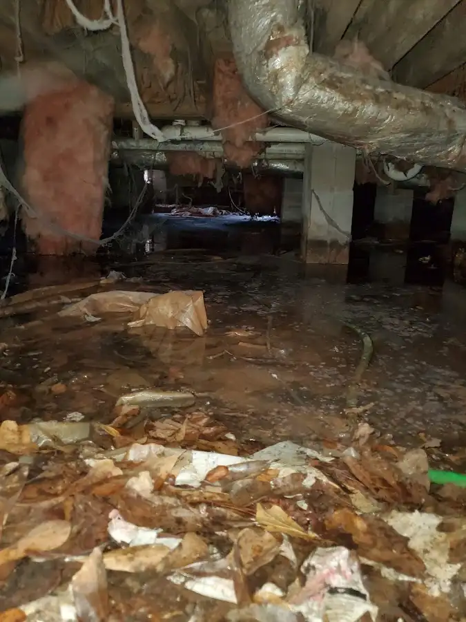 Crawl space flood assessment for Leak Detection & Repair in Key Largo